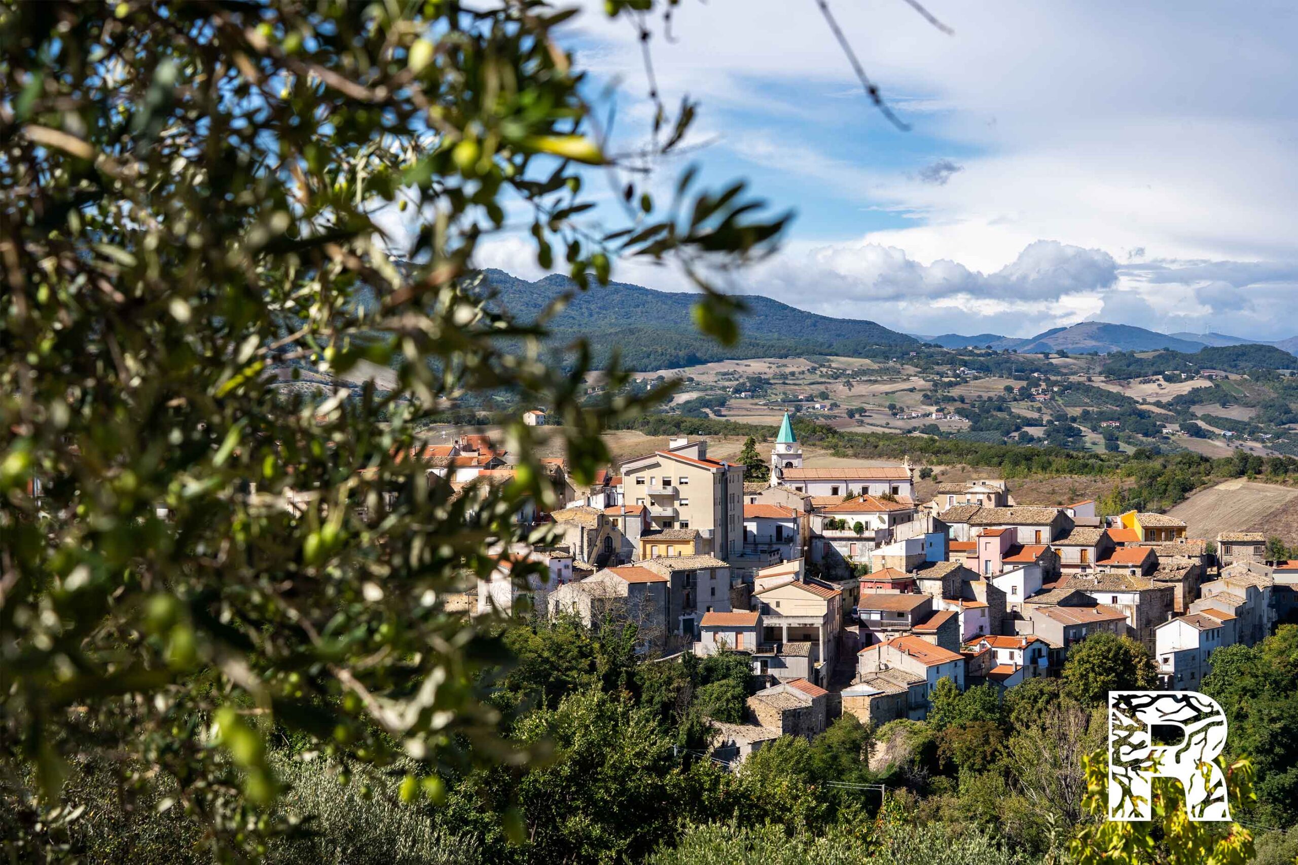 Panorama